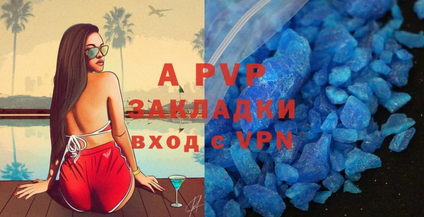 ПСИЛОЦИБИНОВЫЕ ГРИБЫ Новокубанск