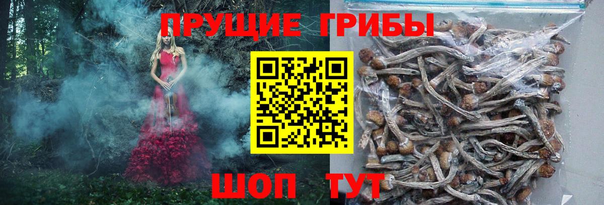 Галлюциногенные грибы Psilocybe  Галлюциногенные грибы мицелий  Вход с VPN  Волжский 